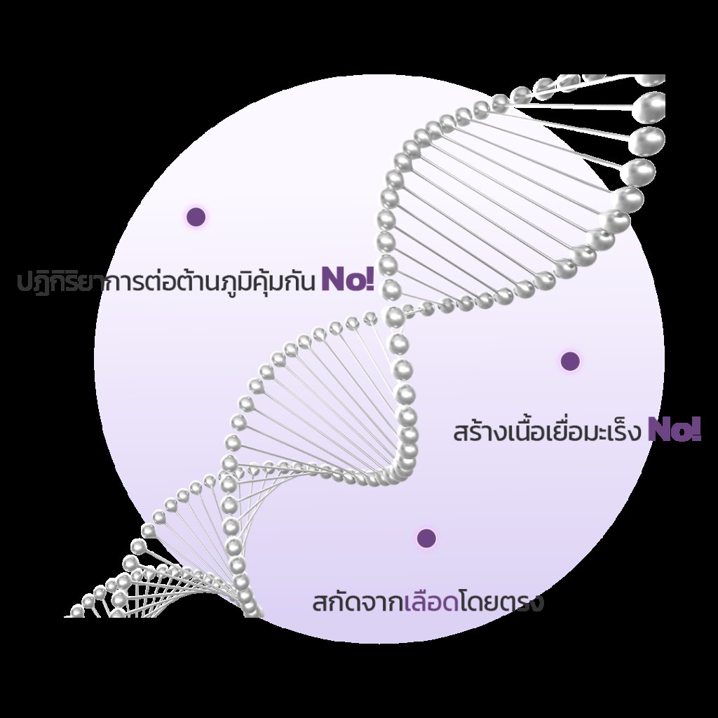 Illustration of stem cell division producing new skin cells