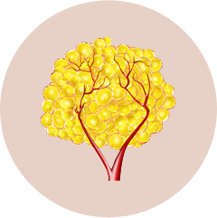 Fat grafting with stem cells