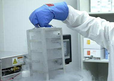 Stem cell storage system