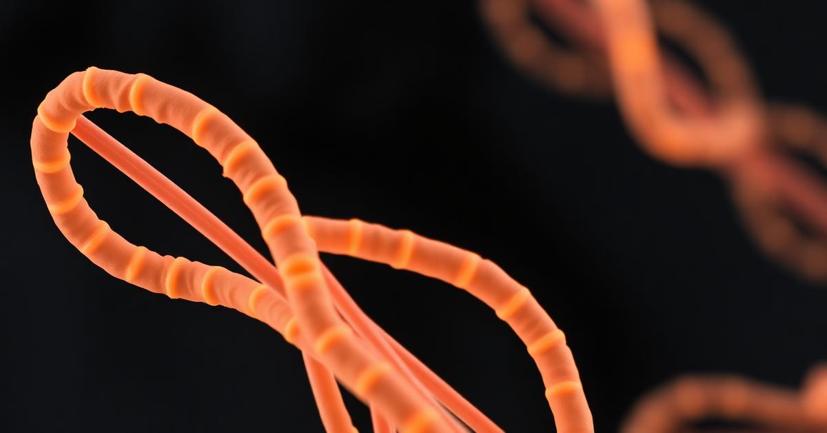 Cover: an illustration of chromosomes and their telomere caps
